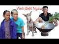 Hưng Vlog - Bị Thằng Em Trai Ăn Thịt Mất Ngáo Alaska Vĩnh Biệt Ngáo