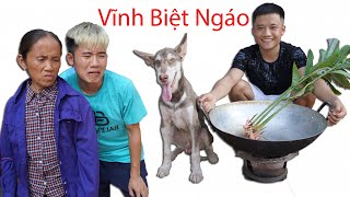 Hưng Vlog - Bị Thằng Em Trai Ăn Thịt Mất Ngáo Alaska Vĩnh Biệt Ngáo