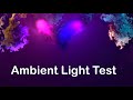 Ambient tv backlight test