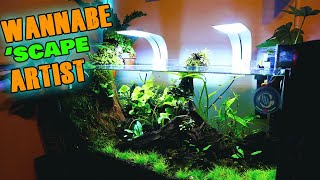 Low budget aquascape setup by beginner aquascaper!