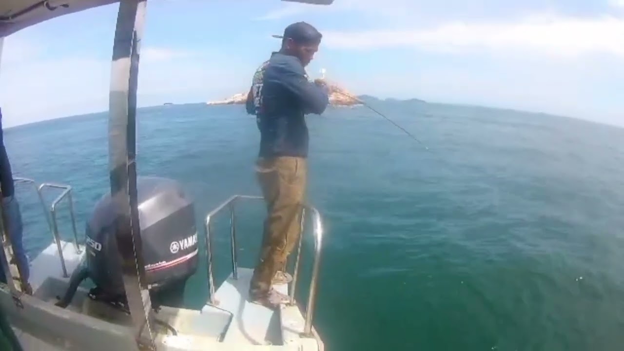 Barracuda strike....