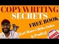 Copywriting secrets bookfreeget more clicks sales and profits with copywriting secrets book