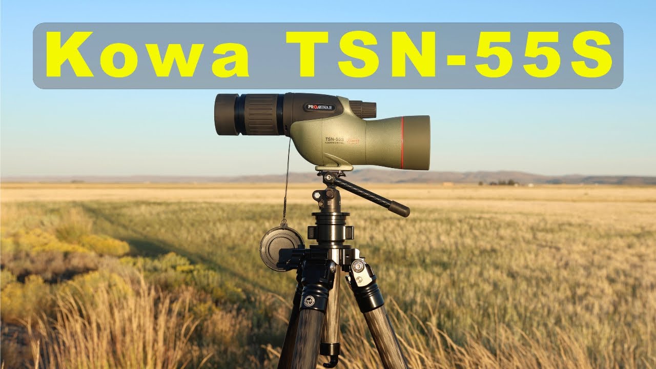 Kowa TSN-55S Review:  Long-Term Field Test & Low Light Performance