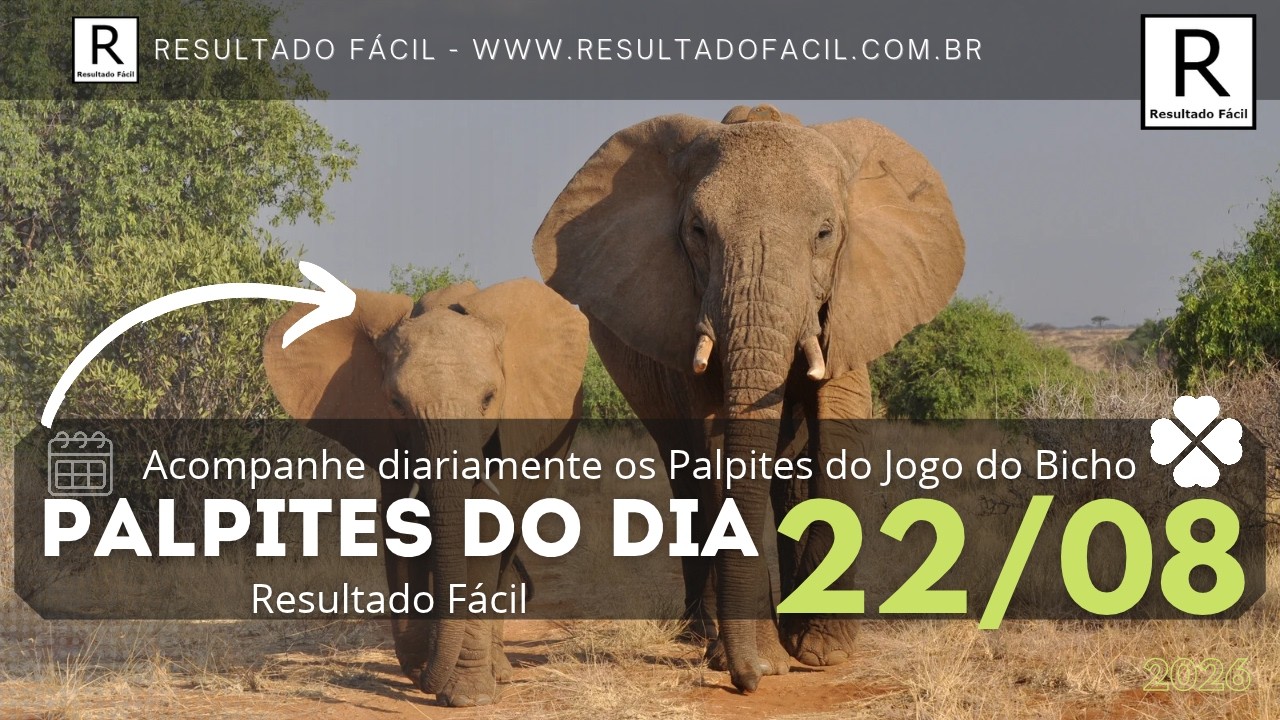 Palpites do dia Jogo do Bicho para o dia 22/08/2026