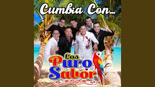 Video thumbnail of "Los Puro Sabor - Mi Forma de Sentir"