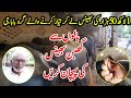 Bhenson K Guru BaBa g | Baloon Say Ghaban Bhenso Ki Pehchan Karein | Kon c Bhensein Faida Mand Hy