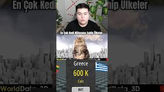 Countries With The Largest Cat Populations