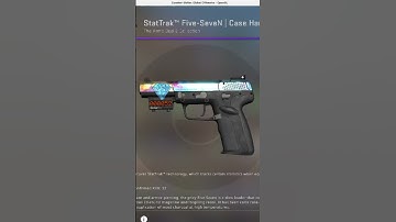 CSGO Bravo Case Opening