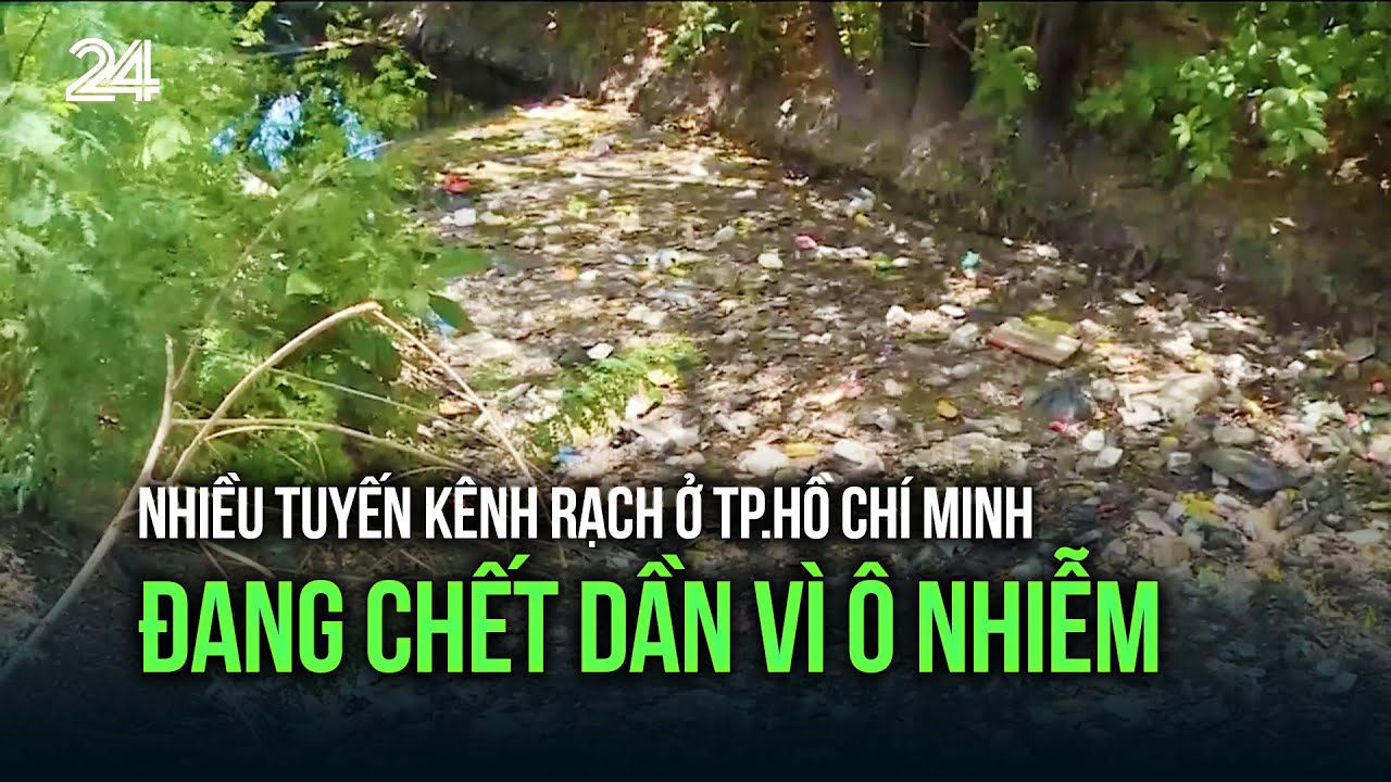 Nhiều tuyến kênh rạch ở TP.Hồ Chí Minh đang chết dần vì ô nhiễm | VTV24 ...
