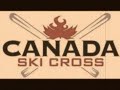 Ski cross starts