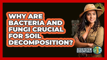 Why Are Bacteria And Fungi Crucial For Soil Decomposition? - Ecosystem Essentials