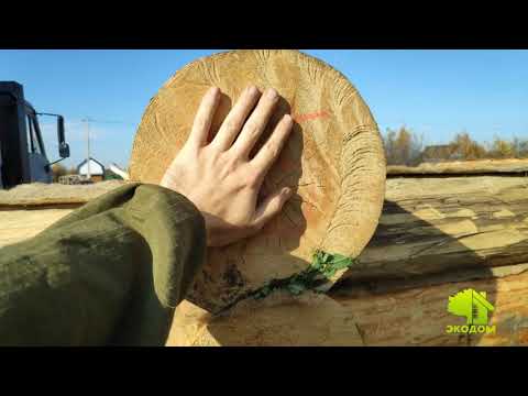 Сборка сруба 5/6.