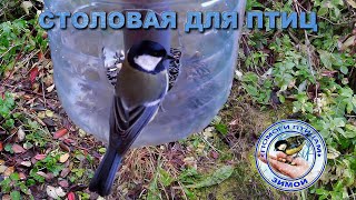 видео: Кормушка с семечками 11 октября 2025 года (01) картинка: Кормушка с семечками 11 октября 2025 года (01)