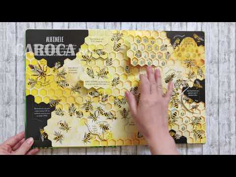 Video: Ce Insectă Salvează Cărțile