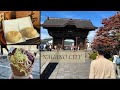 Nagano city day trip japan travel   things to do places to visit ride nagano shinkansen