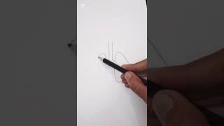 Lungs Diagram | Easy Steps to draw lungs diagram