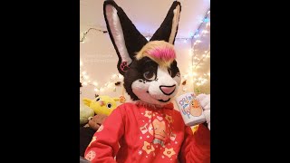 Box Opening! New Fursuit! Yoshey!