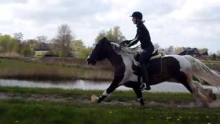 CIMG0867.AVI