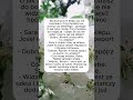 Lustro i Okno #mądrość #dowcipy #kawały #humor #śmieszne #śmiech #komedia #śmiech #żarty #shorts