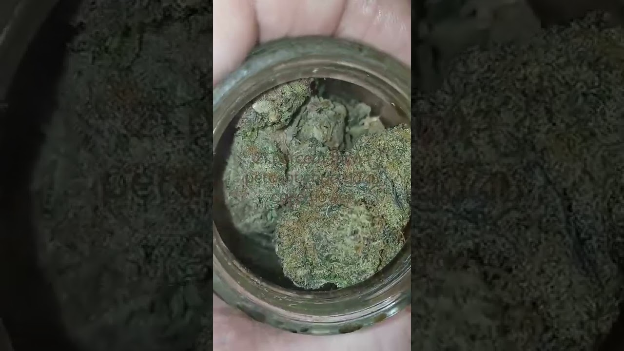 thca hemp flower med grade 100 percent legal