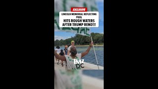Lincoln Memorial Reflecting Pool Battling Algae, Tears After Trump Renovation