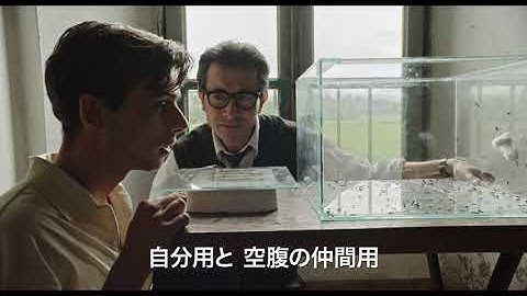 映画『蟻の王』予告編｜11月10日(金)公開