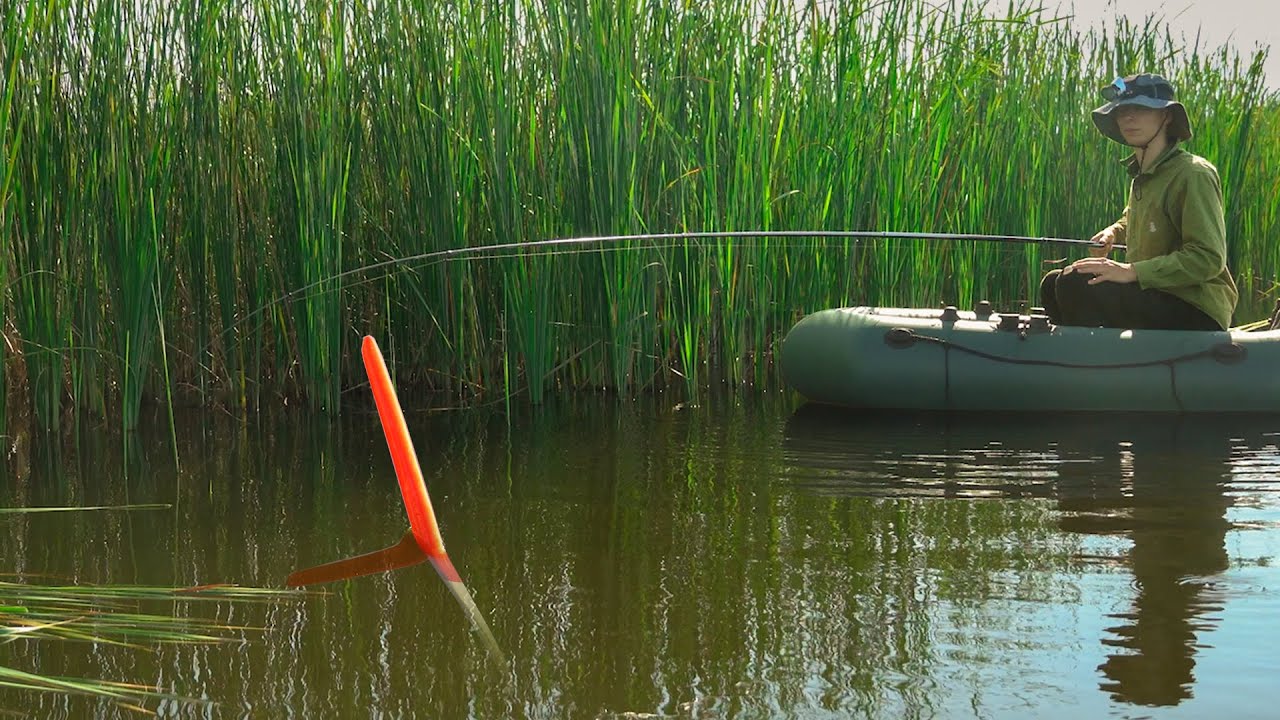 Рыбачу в ДЕБРЯХ, эти бешеные караси разгибают мне крючки!