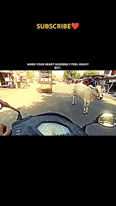 when-your-hurt-suddenly-feel-heavy-shortsfeed-ytshorts-shorts-rider