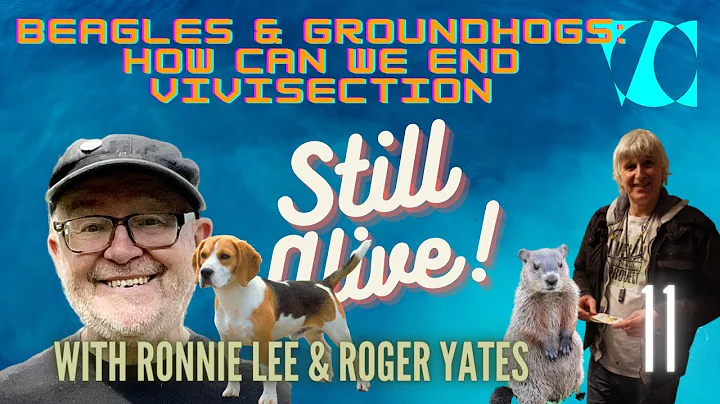 BEAGLE DOGS AND GROUNDHOGS - How Can We End Vivisection?