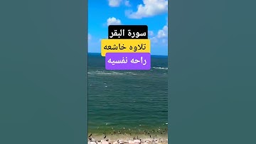 #قرآن  #اكسبلور #القزابري #دويتو #قران_كريم #تلاوة_خاشعة #راحة_نفسية #تيك_توك #duet #الرحمن