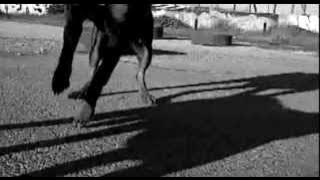 cree lo que veas - TBSFS CREW