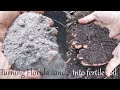 Turning florida sand into fertile soil