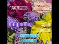 What are you reading for June?
