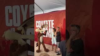 WE DID IT! Coyote Vs. Acme hits theaters tonight!