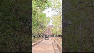 Lalitgiri museum 🎨#viral #youtubeshorts #odisha #shorts