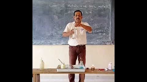 Science Experiment class 8 Activity 4.4 English