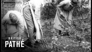 Women At Work, Fruit Farm (1916)