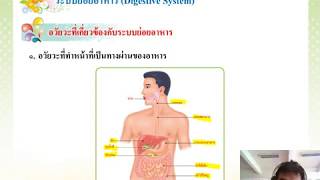 หน่วยที่ 2ระบบย่อยอาหารและระบบขับถ่ายปัสสาวะม5