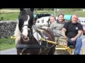 Appleby horse fair 2012