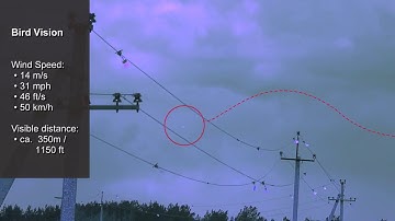 FireFly Bird Diverters Working | Bird Vision and Extreme Conditions | Welkin Conservation LLP, India