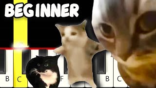 3 Cats Remix Chipi Chipi Chapa, Happy Happy, Maxwell Cat - Fast and Slow) Piano Tutorial - Beginner