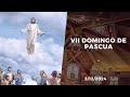 Vii domingo de pascua  2024