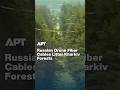 WATCH: Russian Drone Fiber Cables Litter Kharkiv Forests | APT
