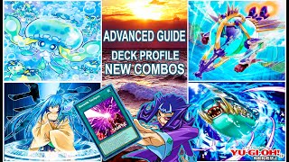 Shark / Guide + New Combos  (Text in English) | Yu-Gi-Oh! TCG