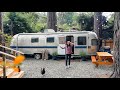 Dormim intr-o rulota Airstream in padure, printre cei mai inalti copaci din lume | California 🇺🇸