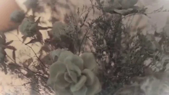 Spencer & Terri Wedding Video