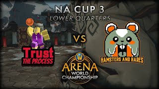 Trust the Process vs Hamsters \& Hares | Lower Quarters | AWC Shadowlands NA Cup 3