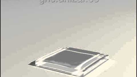 Dam Break Simulation