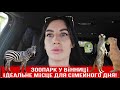 Що нас вразило у Подільському зоопарку Вінниці ? Покажемо все! Ідеальне місце для сімейного дня.