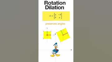 Geometric Transformations #shorts